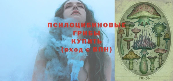 мяу мяу мука Кодинск