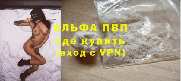 мяу мяу мука Кодинск