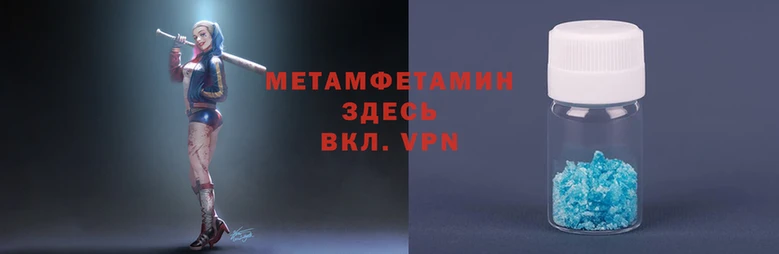 мяу мяу мука Кодинск