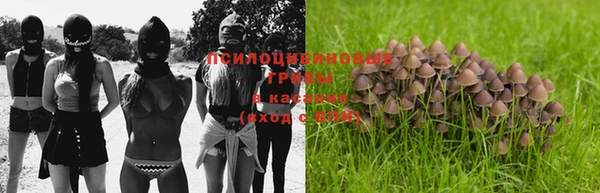 мяу мяу мука Кодинск