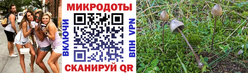 Купить закладки  Урень  Галлюциногенные грибы GOLDEN TEACHER 